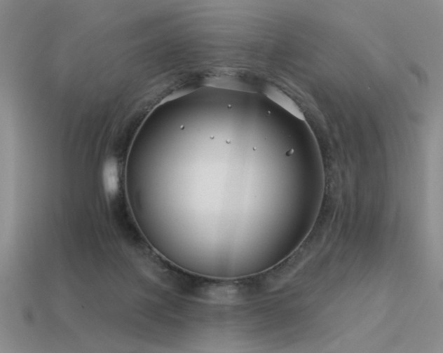 X0000113530075200909181144