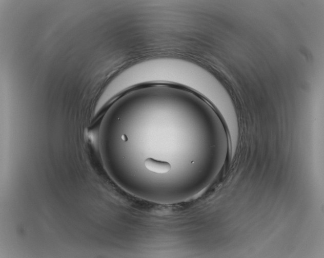 X0000113530076200909181144