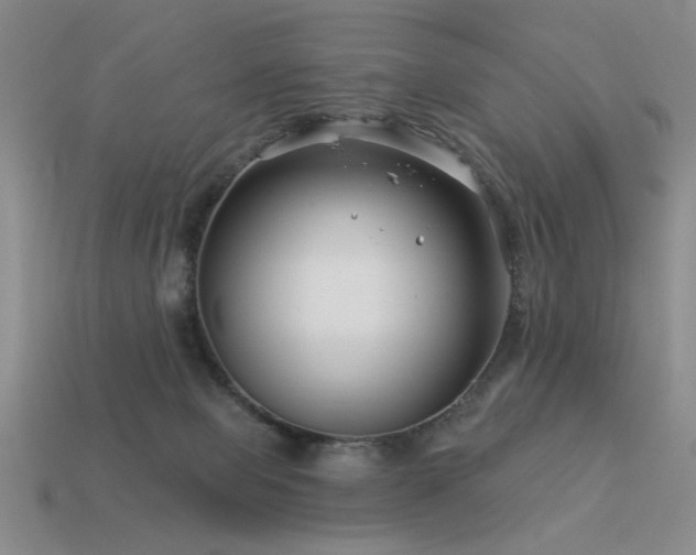 X0000113530077200909181144