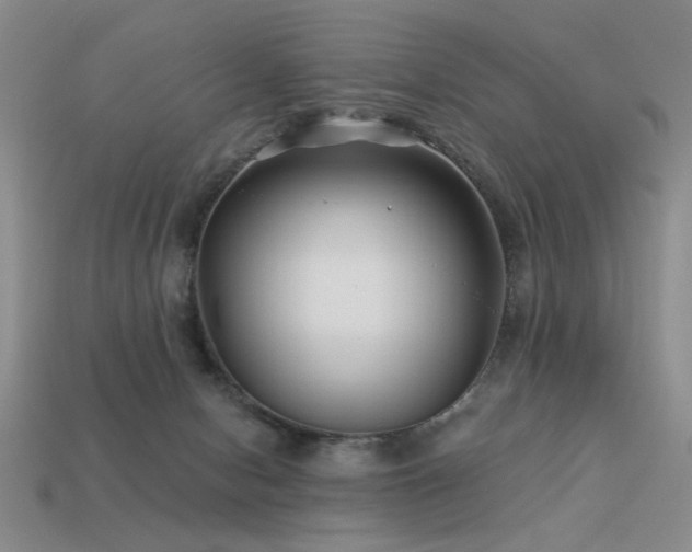 X0000113530078200909181144