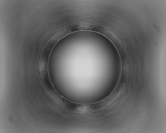 X0000113530079200909181144
