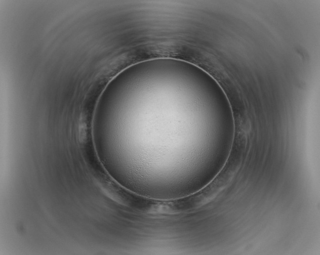 X0000113530080200909181144
