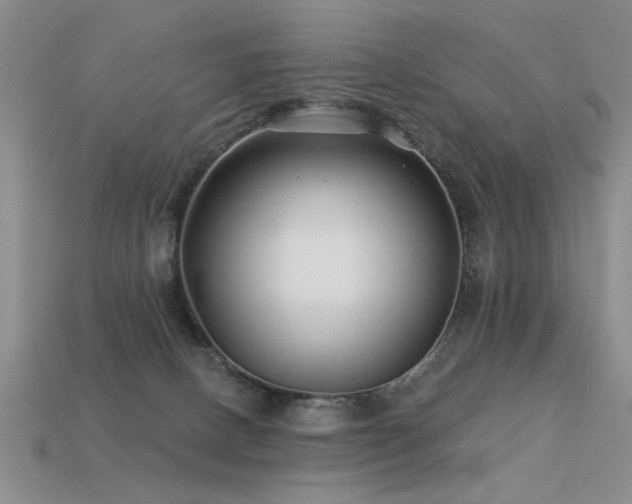 X0000113530082200909181144