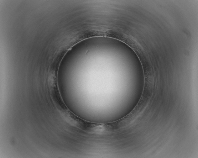 X0000113530083200909181144