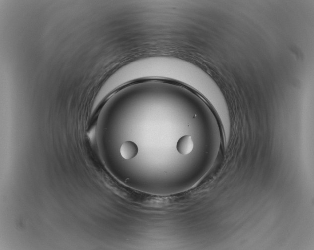 X0000113530084200909181144