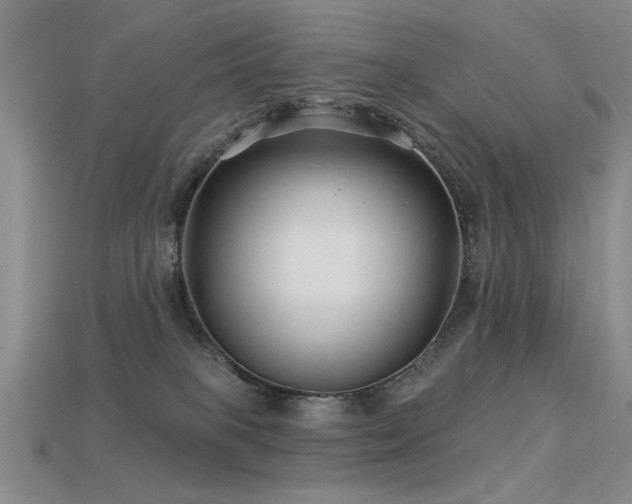 X0000113530085200909181144
