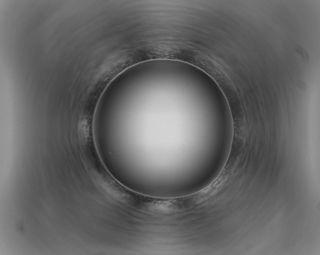 X0000113530086200909181144