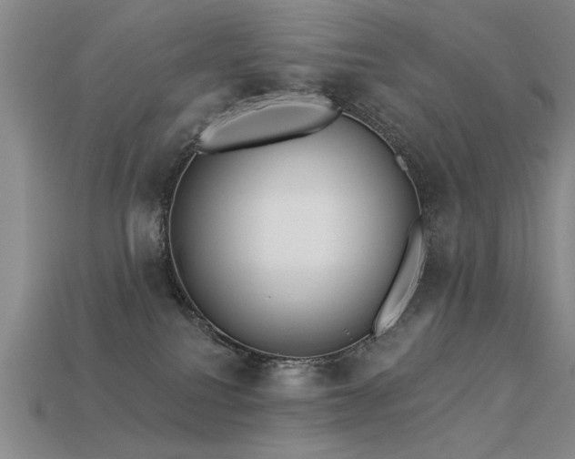 X0000113530088200909181144