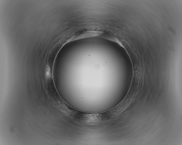 X0000113530089200909181144