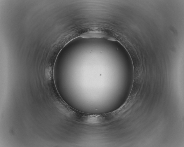 X0000113530090200909181144