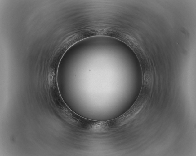 X0000113530092200909181144