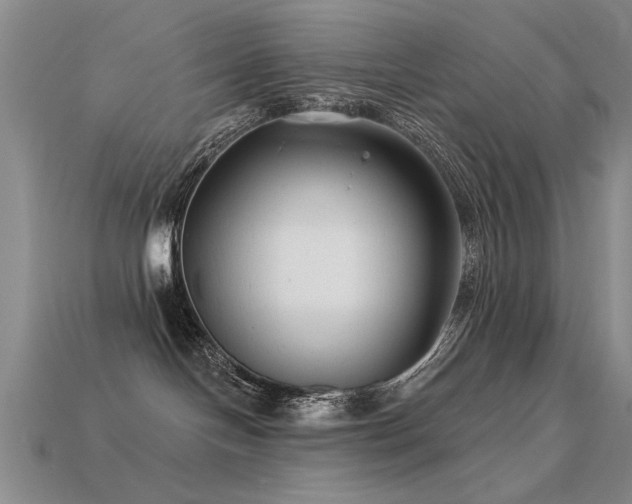 X0000113530094200909181144
