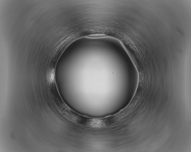 X0000113530095200909181144