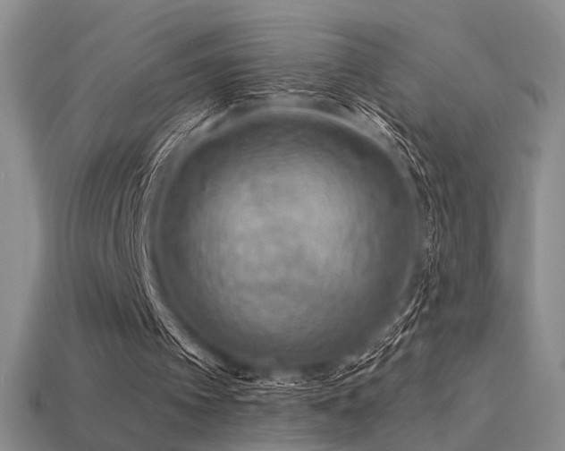 X0000113530097200909181144