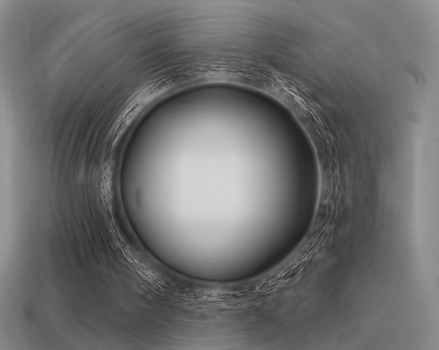 X0000113530098200909181144
