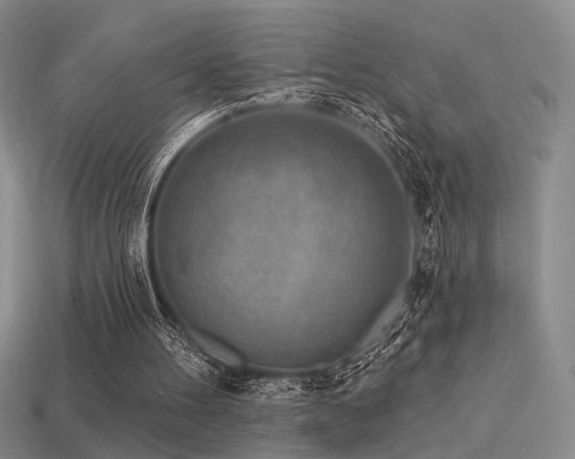X0000113530100200909181144