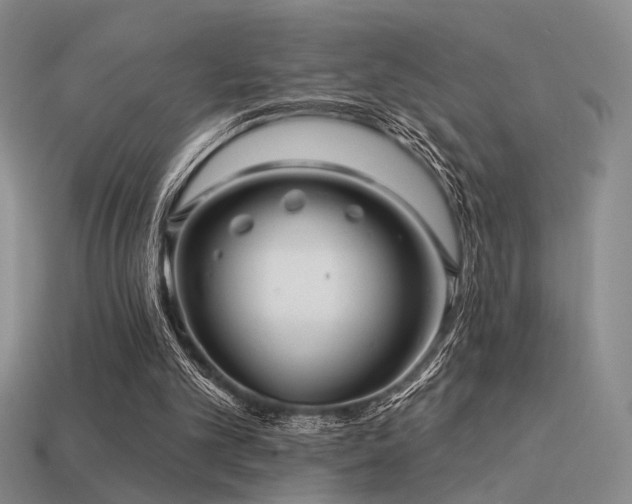 X0000113530101200909181144