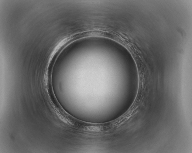 X0000113530102200909181144