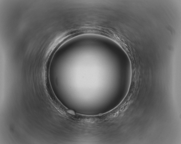 X0000113530103200909181144