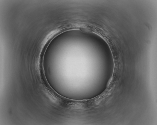 X0000113530104200909181144