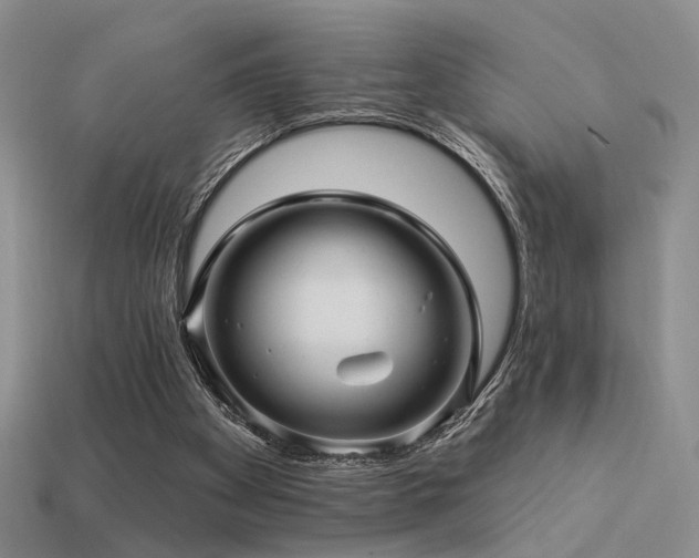 X0000113530105200909181144