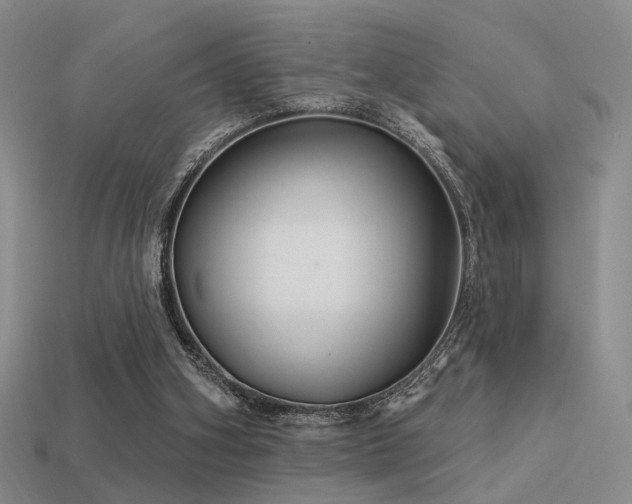 X0000113530106200909181144