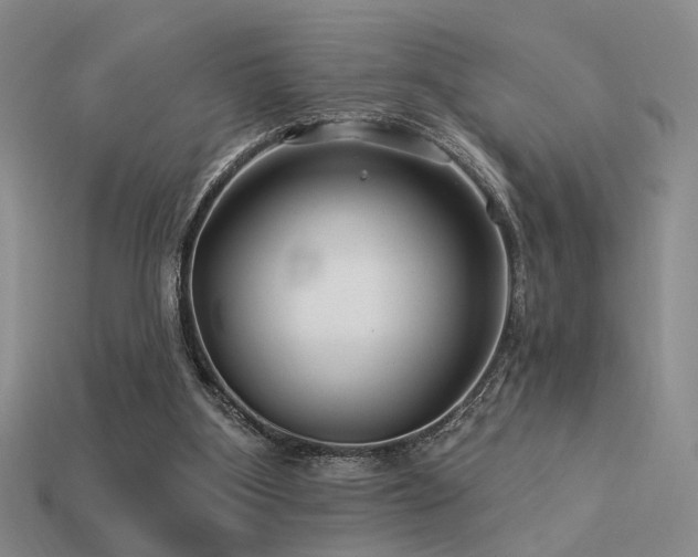 X0000113530107200909181143