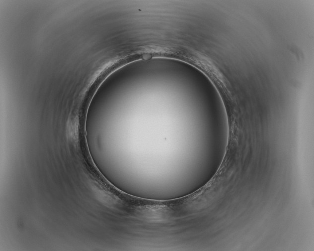 X0000113530108200909181143