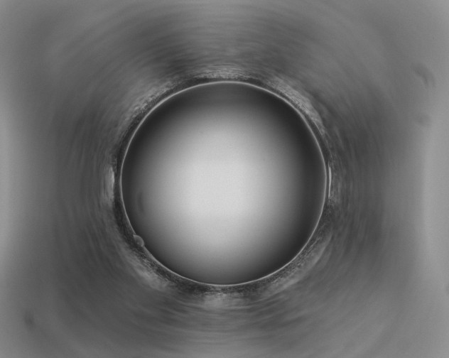 X0000113530109200909181143