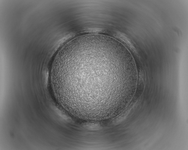 X0000113530110200909181143