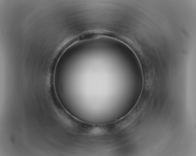 X0000113530111200909181143