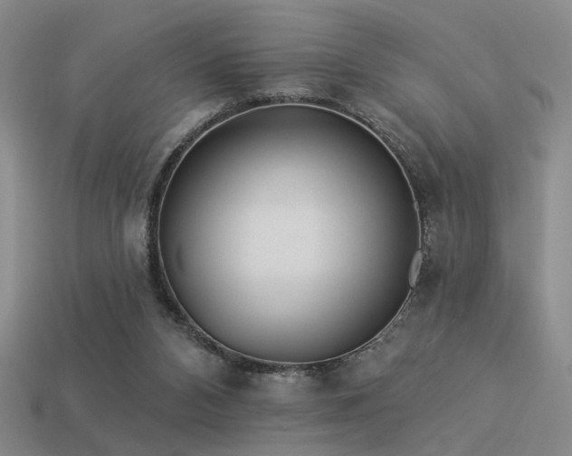X0000113530112200909181143