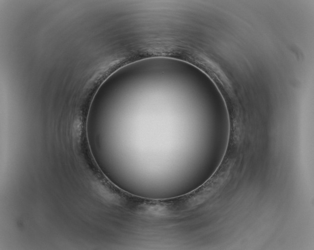 X0000113530113200909181143