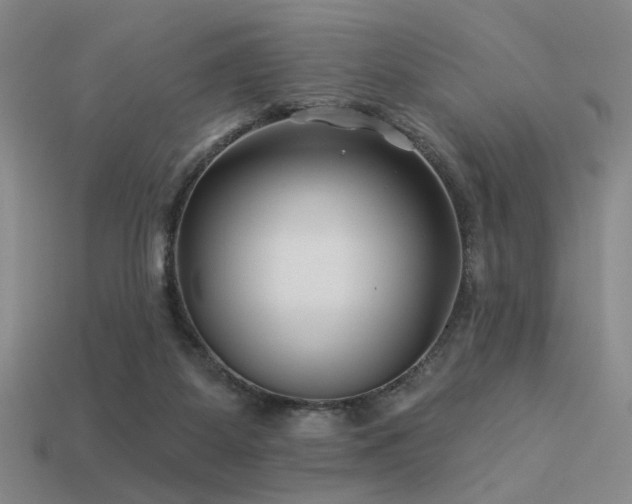 X0000113530115200909181143