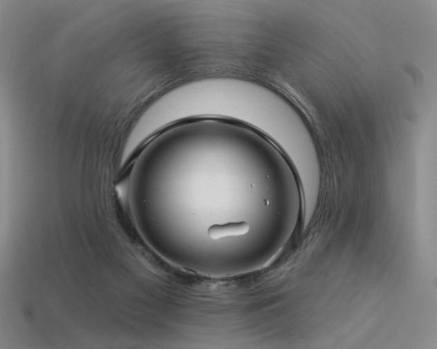 X0000113530117200909181143