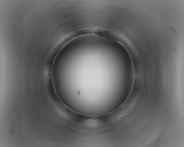 X0000113530119200909181143