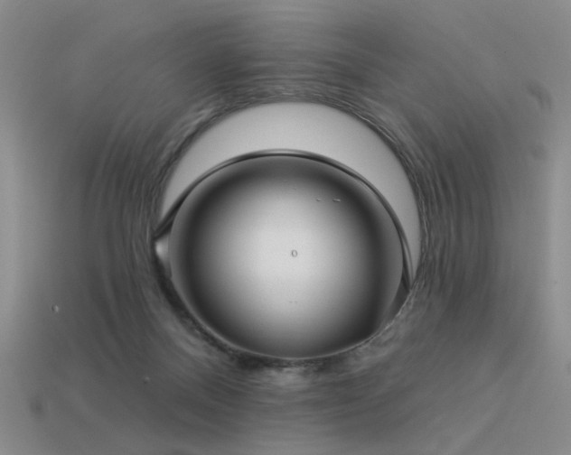 X0000113530120200909181143