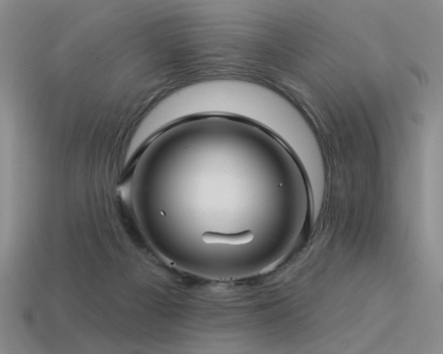 X0000113530121200909181143