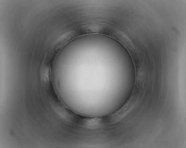 X0000113530122200909181143