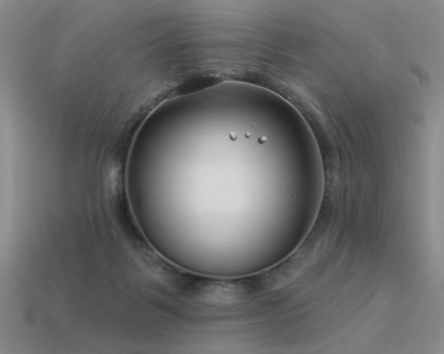 X0000113530123200909181143