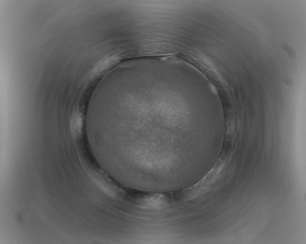 X0000113530124200909181143