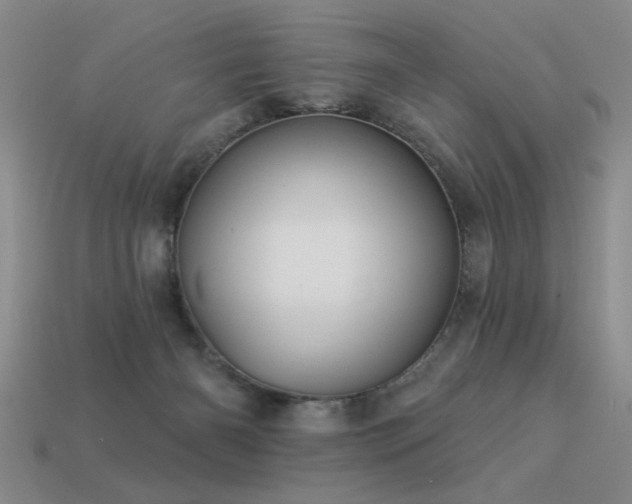 X0000113530126200909181143