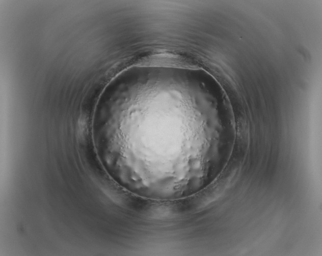 X0000113530127200909181143