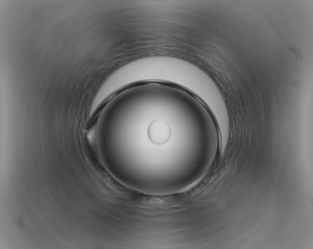 X0000113530129200909181143