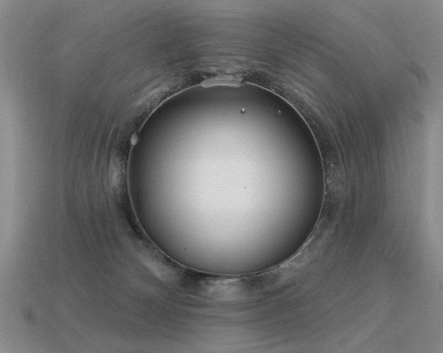 X0000113530132200909181143