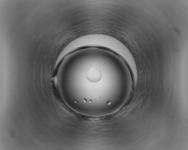 X0000113530133200909181143