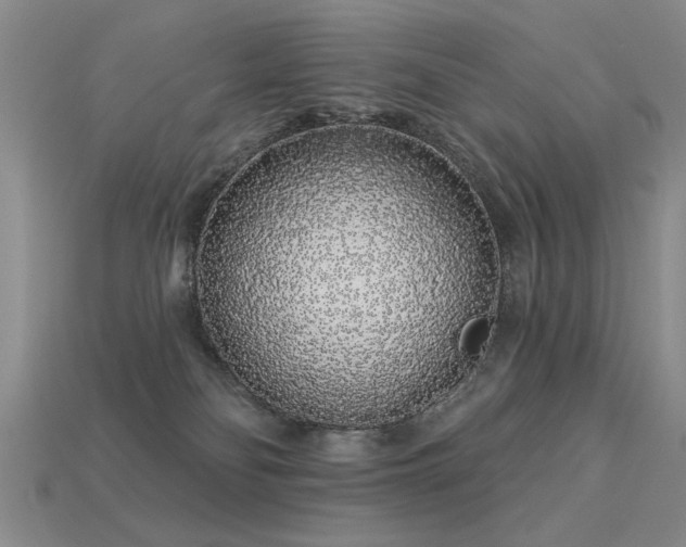X0000113530134200909181143