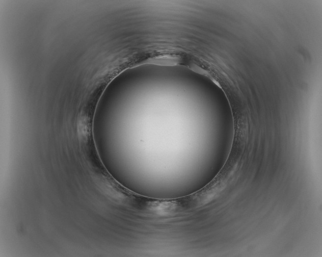 X0000113530135200909181143