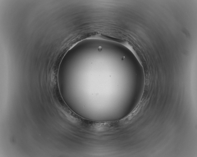X0000113530136200909181143
