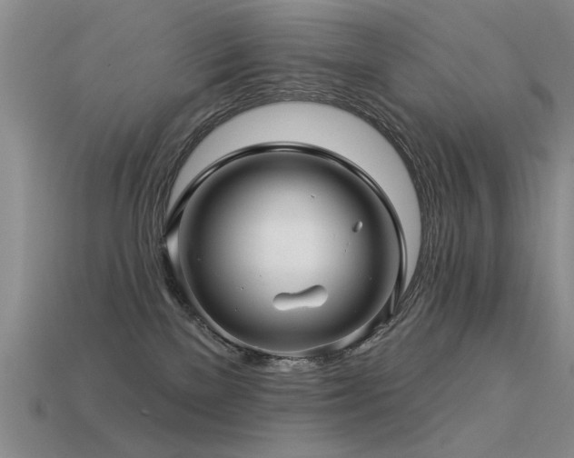 X0000113530137200909181143
